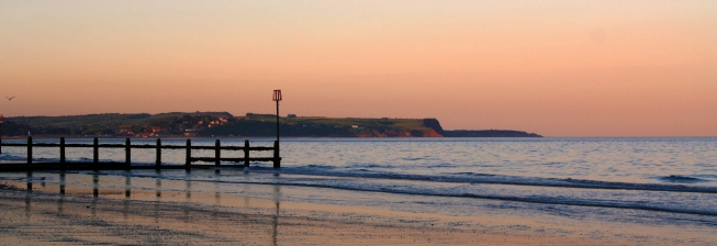 Pet Friendly Accommodation in Dawlish to Rent