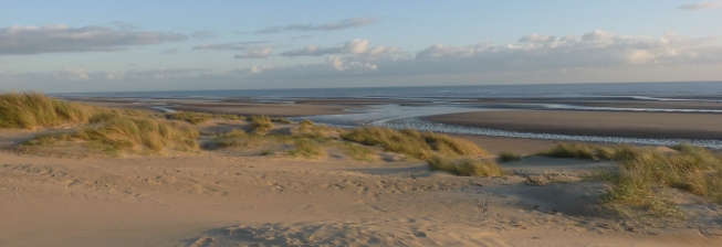Pet Friendly Accommodation in New Romney to Rent