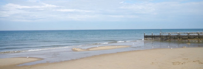 Pet Friendly Accommodation in Happisburgh to Rent