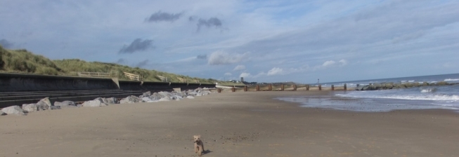 Pet Friendly Accommodation in Eccles on Sea to Rent