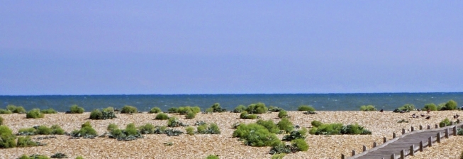 Pet Friendly Accommodation in Dungeness to Rent