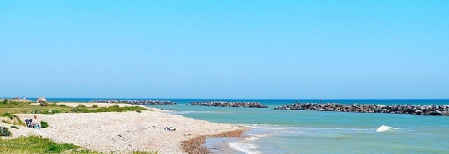Pet Friendly Accommodation in Middleton on Sea to Rent