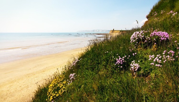 Brook Chine Beach, Isle of Wight
