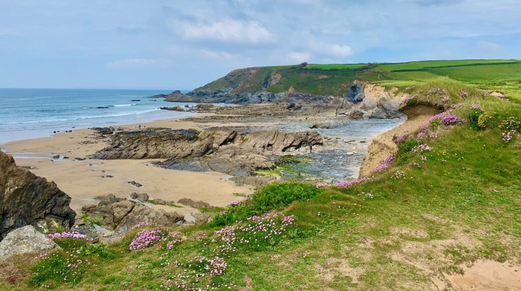 Overlooking Dollar Cove on the Lizard Peninsula