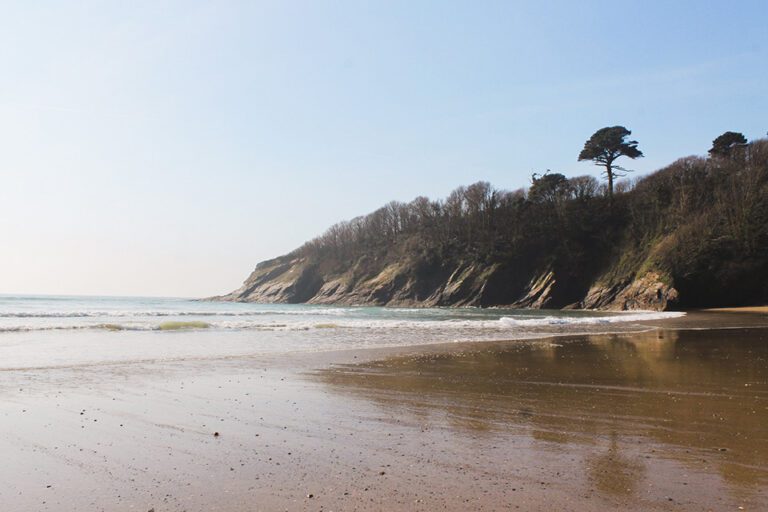 Porthluney Cove dog friendly beach on the Roseland Peninsula