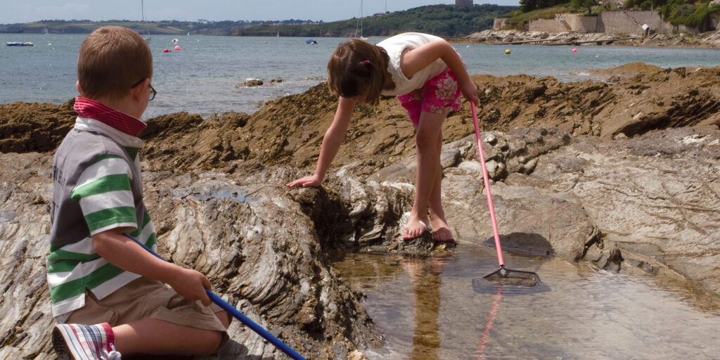 Children rock pooling in Devon