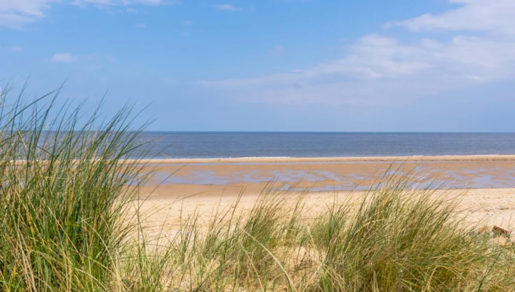 Looking through the grassy dunes on Scratby Beach, Norfolk