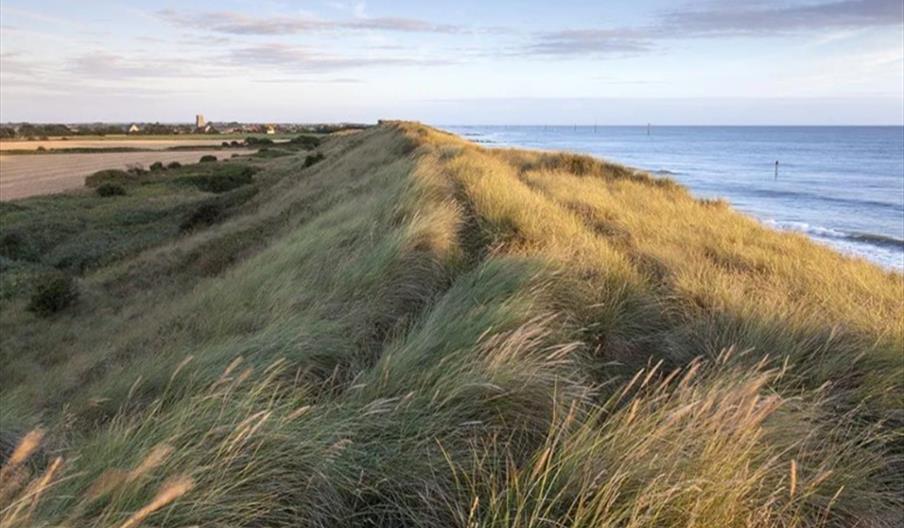 Grassy sand dunes in Waxham Beach