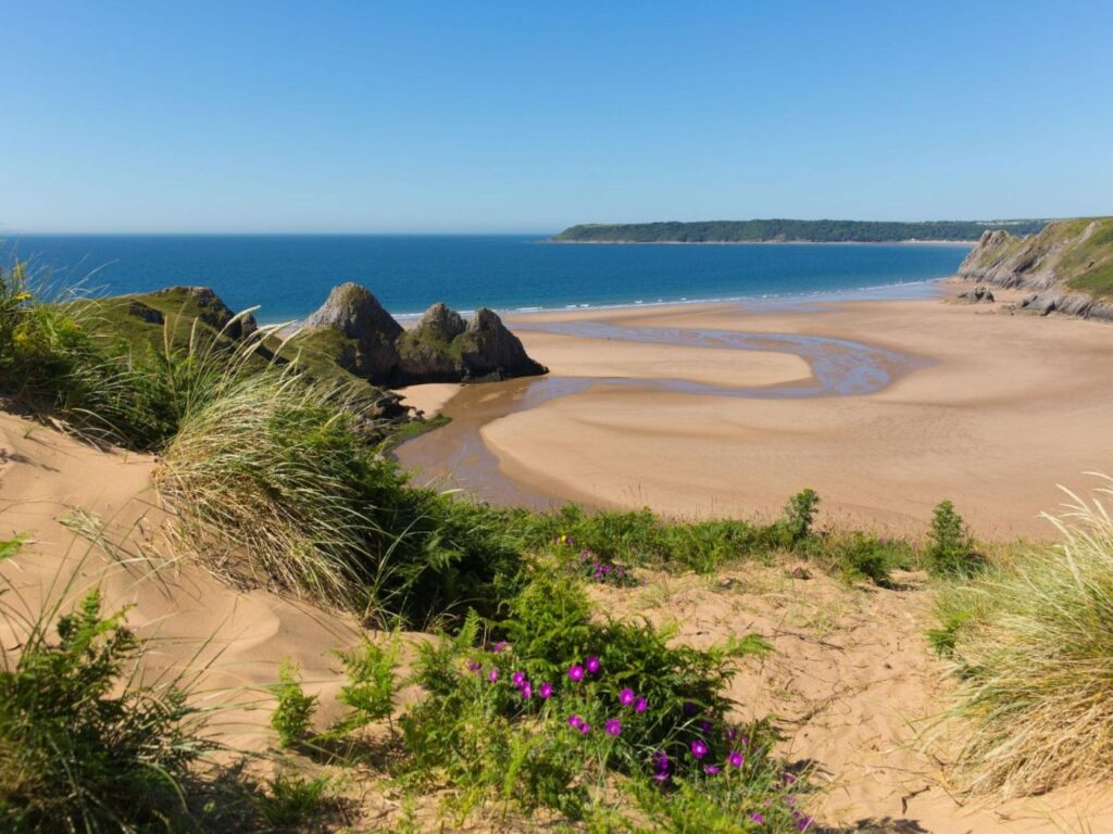 View from the sand dunes overlooking the beach at Rhossili on the Gower Peninsula